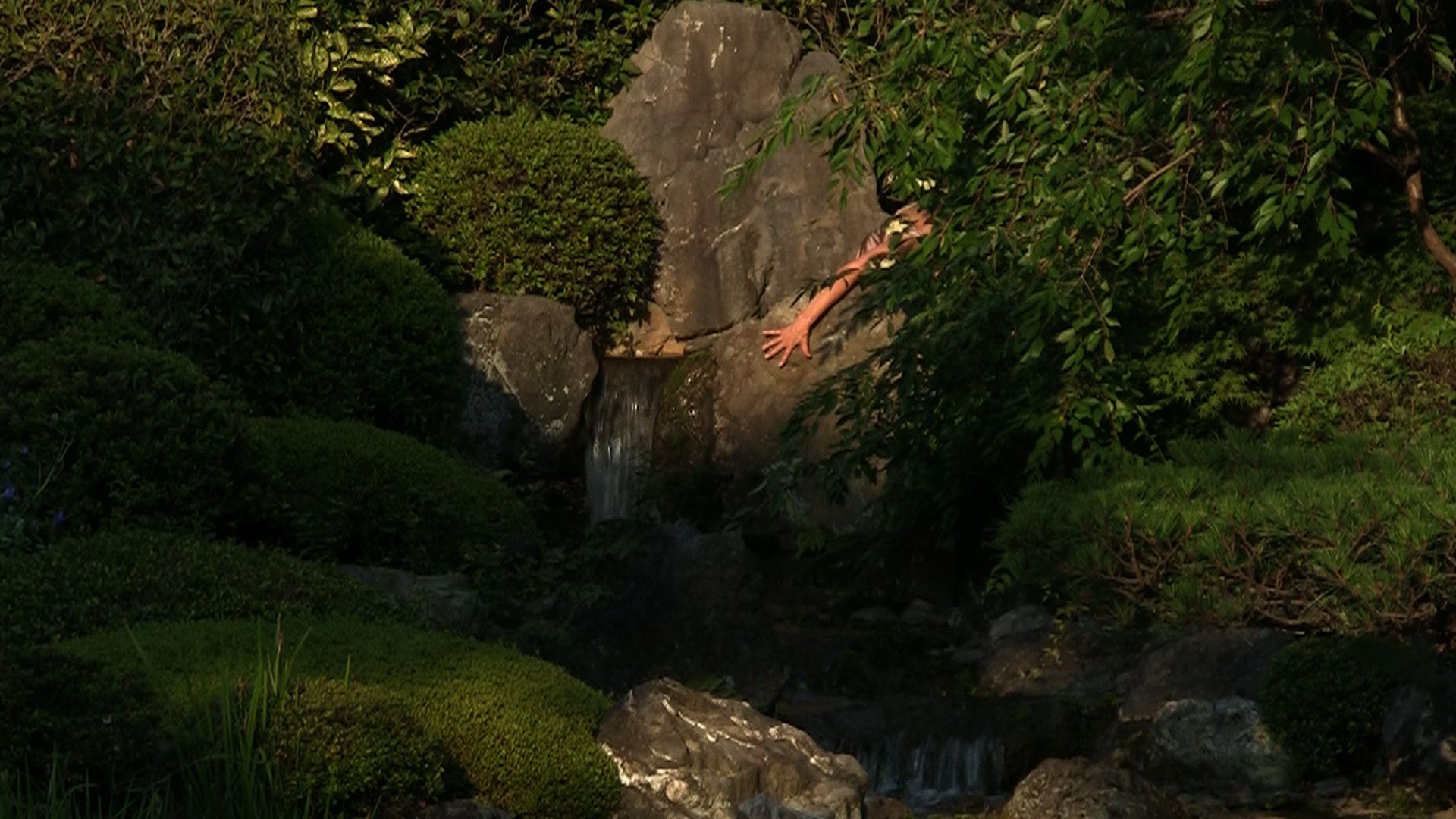 Dawn in "Body of Water"